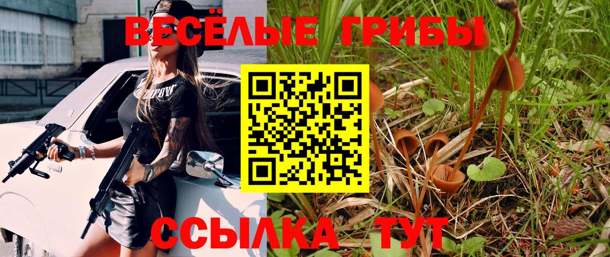 Асино  Галлюциногенные грибы MAGIC MUSHROOMS  Вход с VPN 